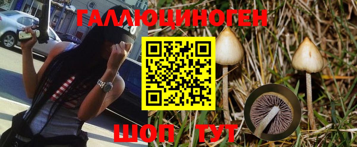 Назрань  Галлюциногенные грибы мицелий  Вход с VPN 